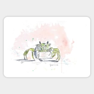 Green ghost crab Sticker